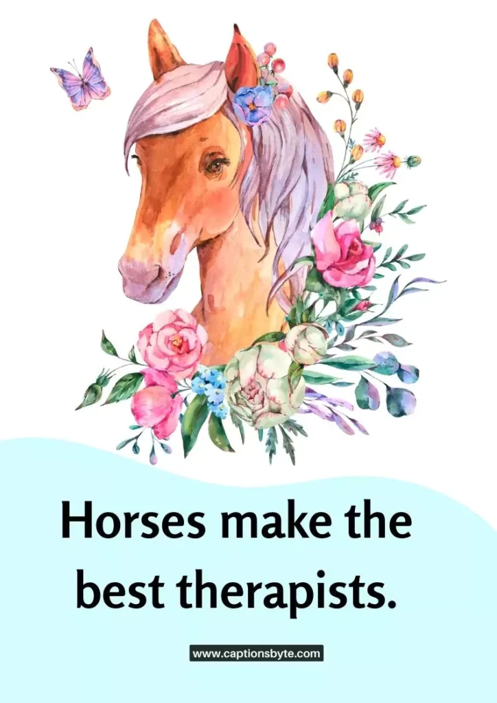 Horse Captions for Instagram