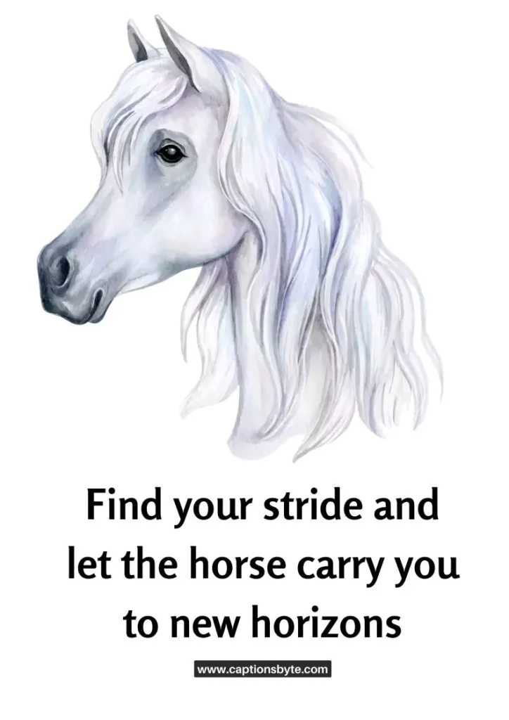 Horse riding captions.