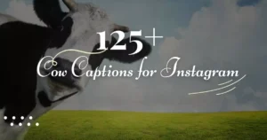 Cow Captions for Instagram