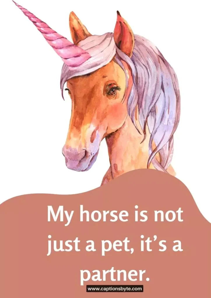 Cute horse captions.