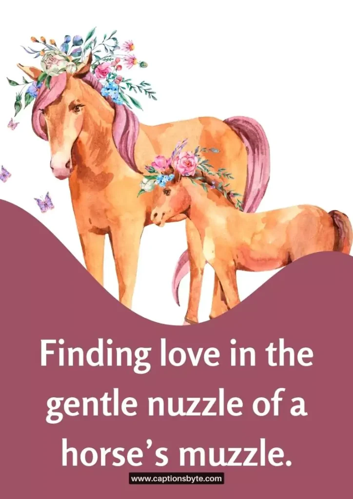 Horse love captions for Instagram.