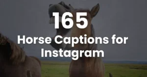 Horse Captions for Instagram