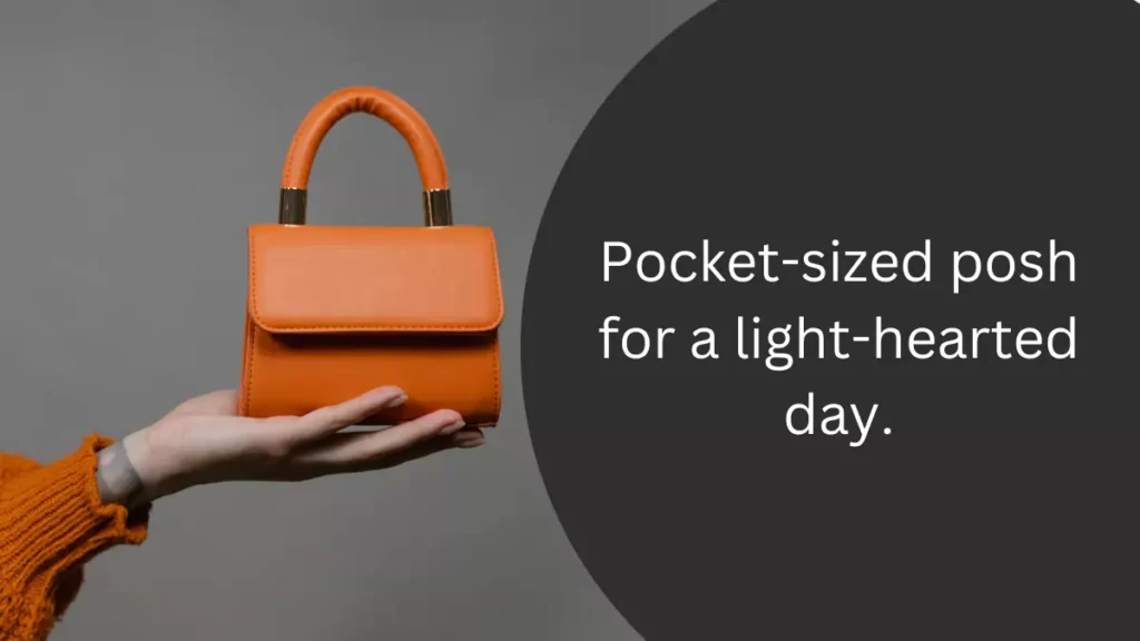 Cute handbag captions for Instagram